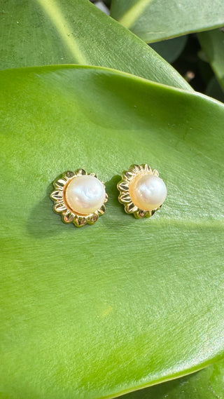 White pearl flower stud earrings with scalloped 14k gold surrounds on a green leaf.