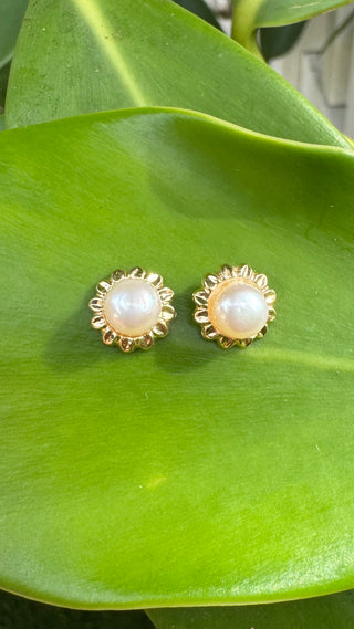 White pearl flower stud earrings with scalloped 14k gold surrounds on a green leaf.