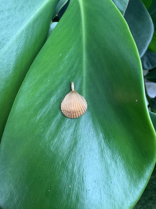 Gold seashell pendant resting on a green leaf.