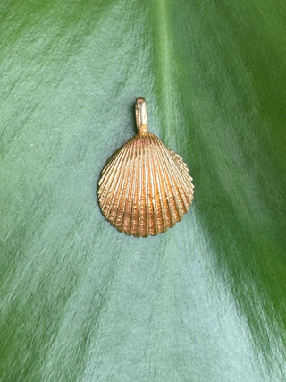 Close-up of the ribbed front of a gold seashell pendant.