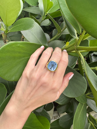 Blue chalcedony intaglio ring worn on a hand beside green leaves.
