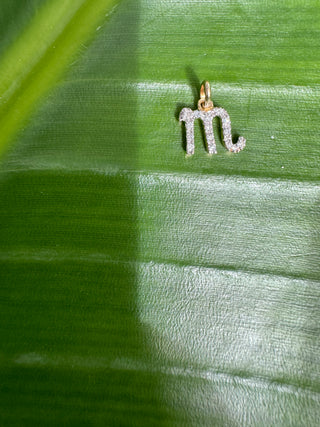 14k gold diamond Scorpio symbol charm displayed on a bright green leaf.