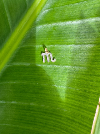 14k gold diamond Scorpio symbol charm displayed on a bright green leaf.