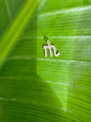 14k gold diamond Scorpio symbol charm displayed on a bright green leaf.